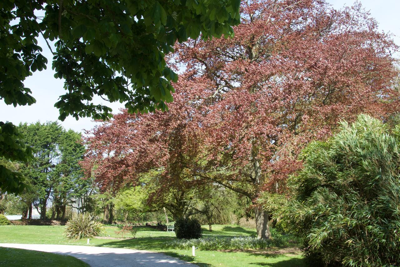 Trewornan Manor Bed & Breakfast Wadebridge Dış mekan fotoğraf